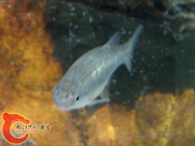 DSCF2793.jpg