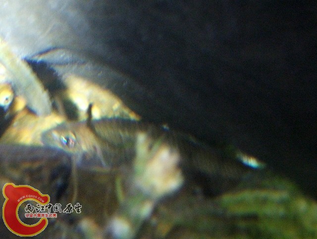 DSCF2862.jpg