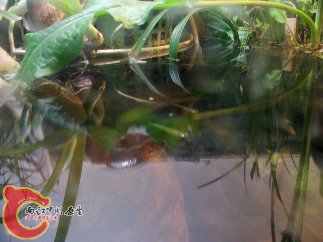 DSCF2883.jpg
