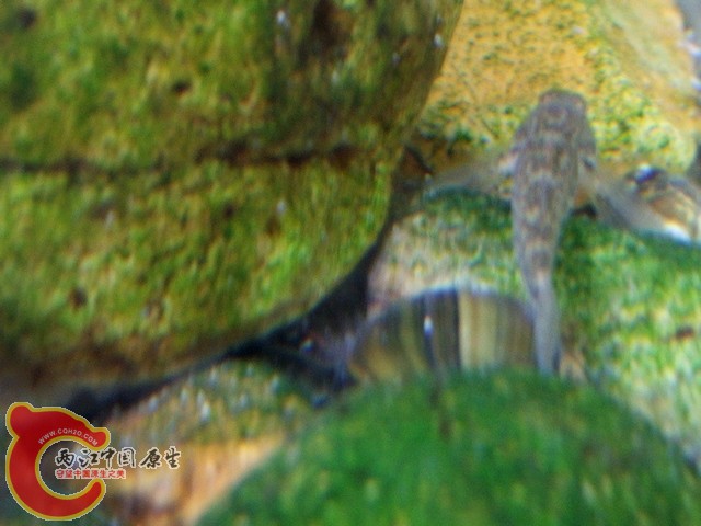 DSCF2770.jpg