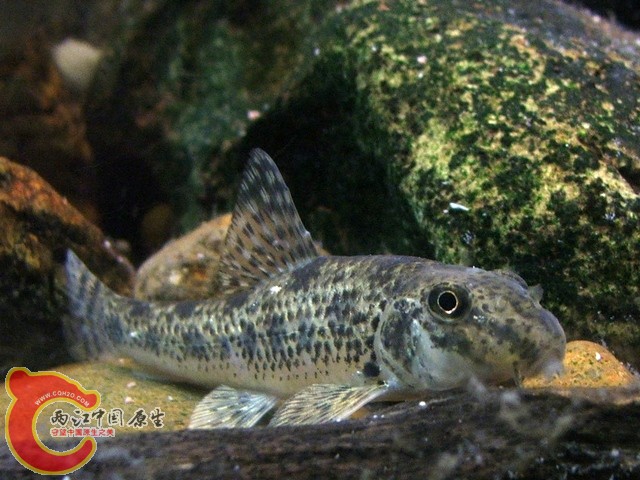 DSCF2899.jpg