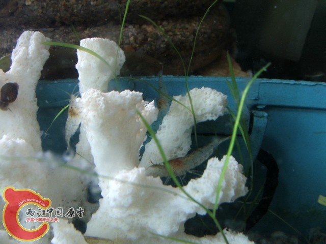 DSCF2739.jpg