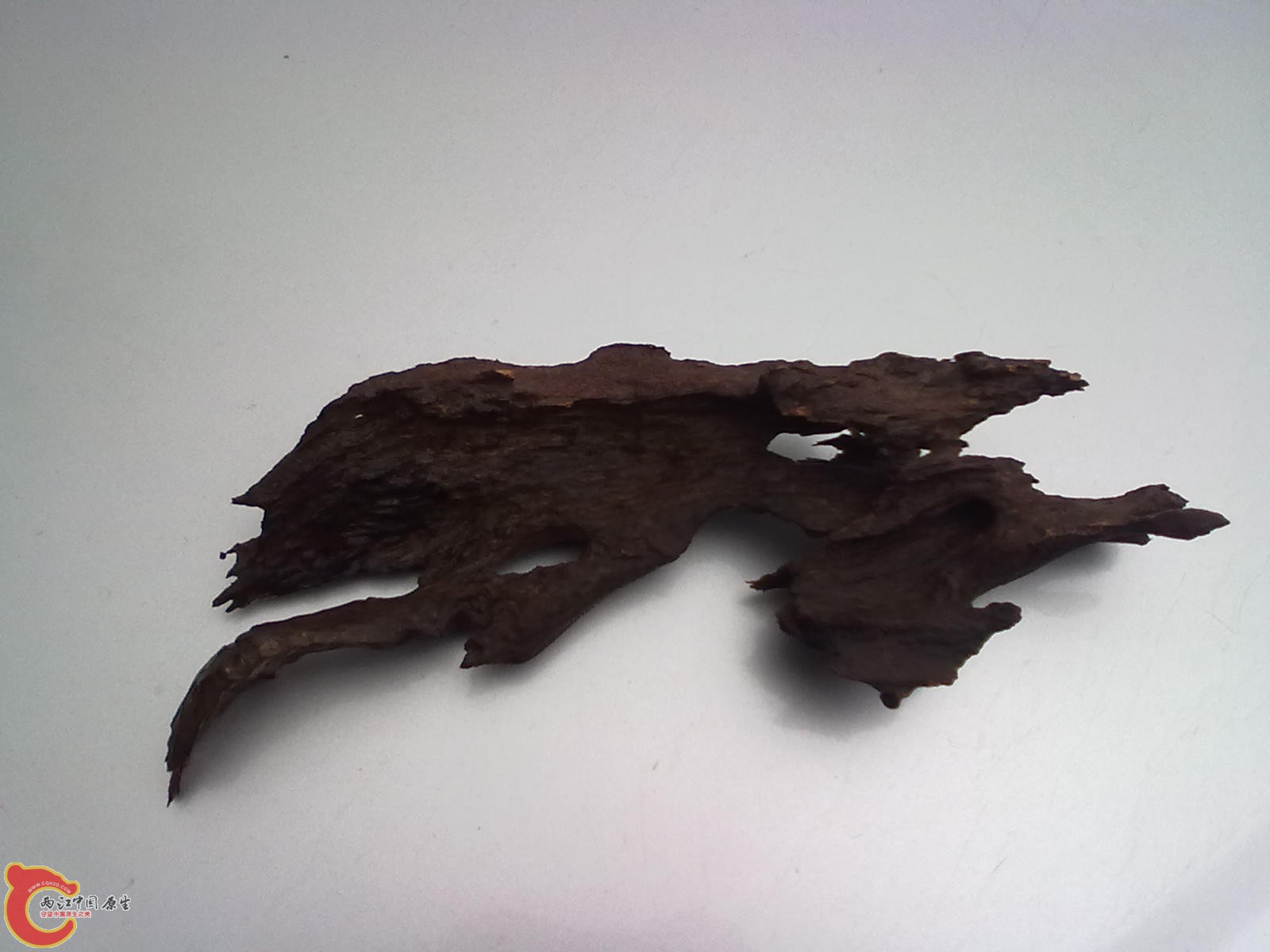 20120316376.jpg