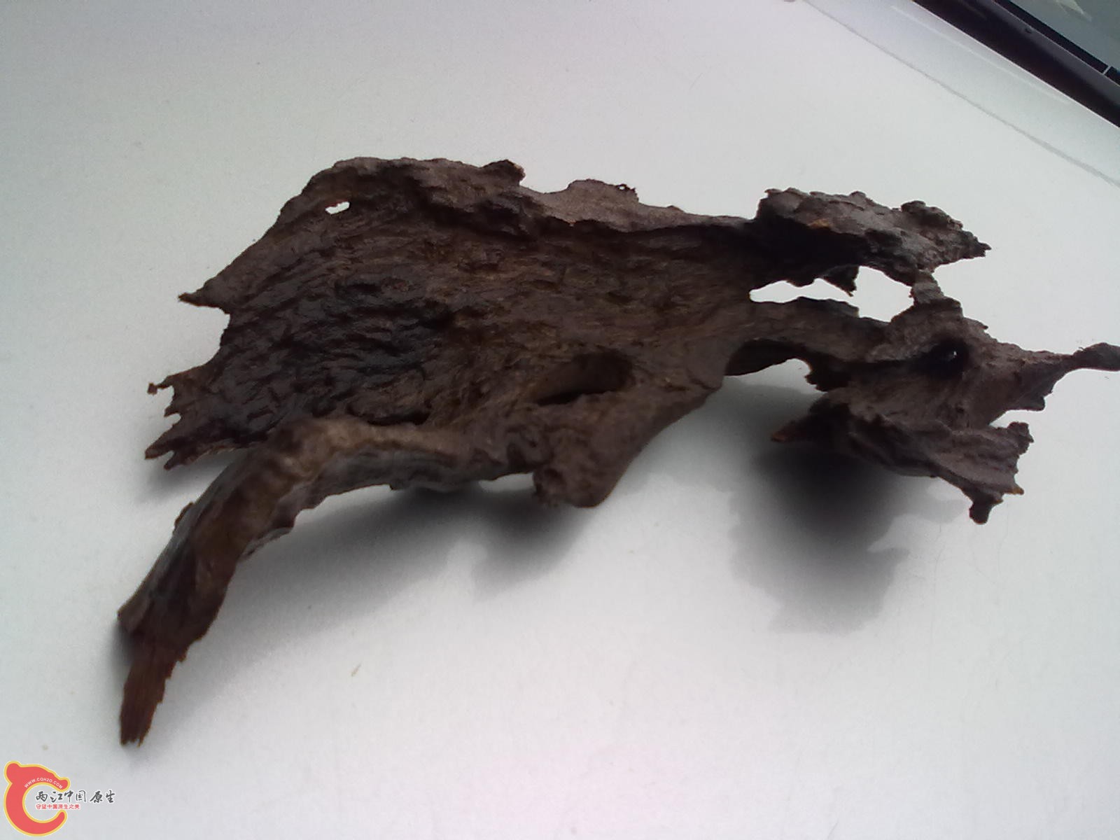 20120316377.jpg