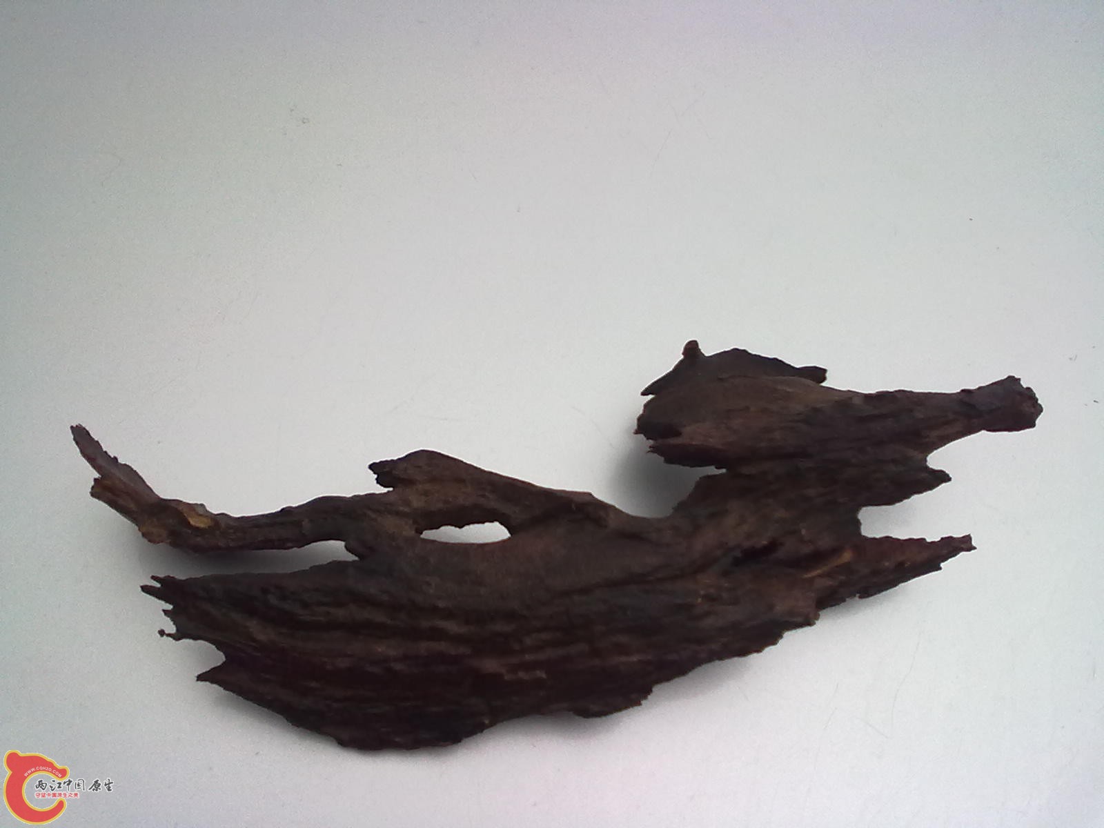 20120316378.jpg