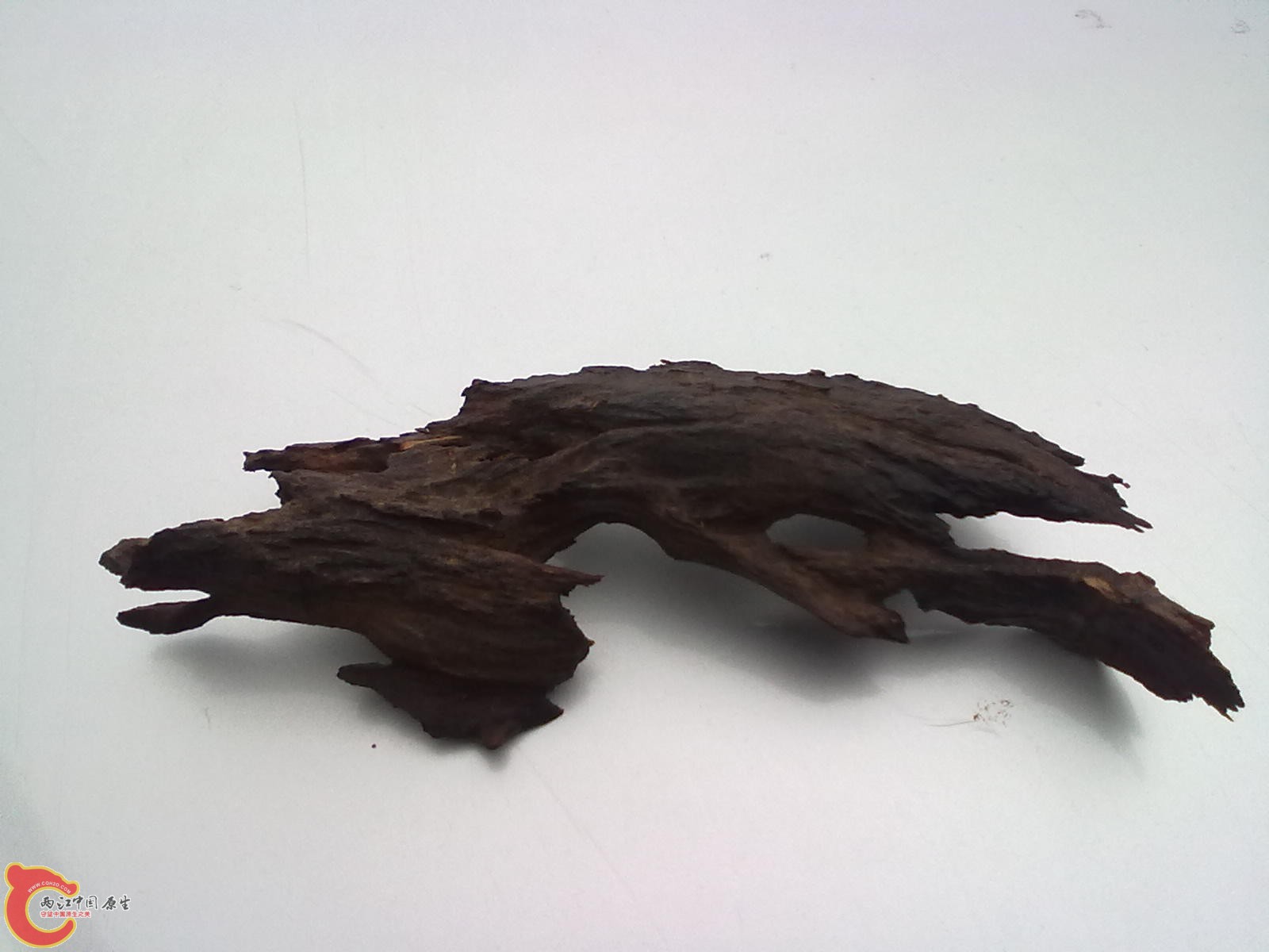 20120316379.jpg