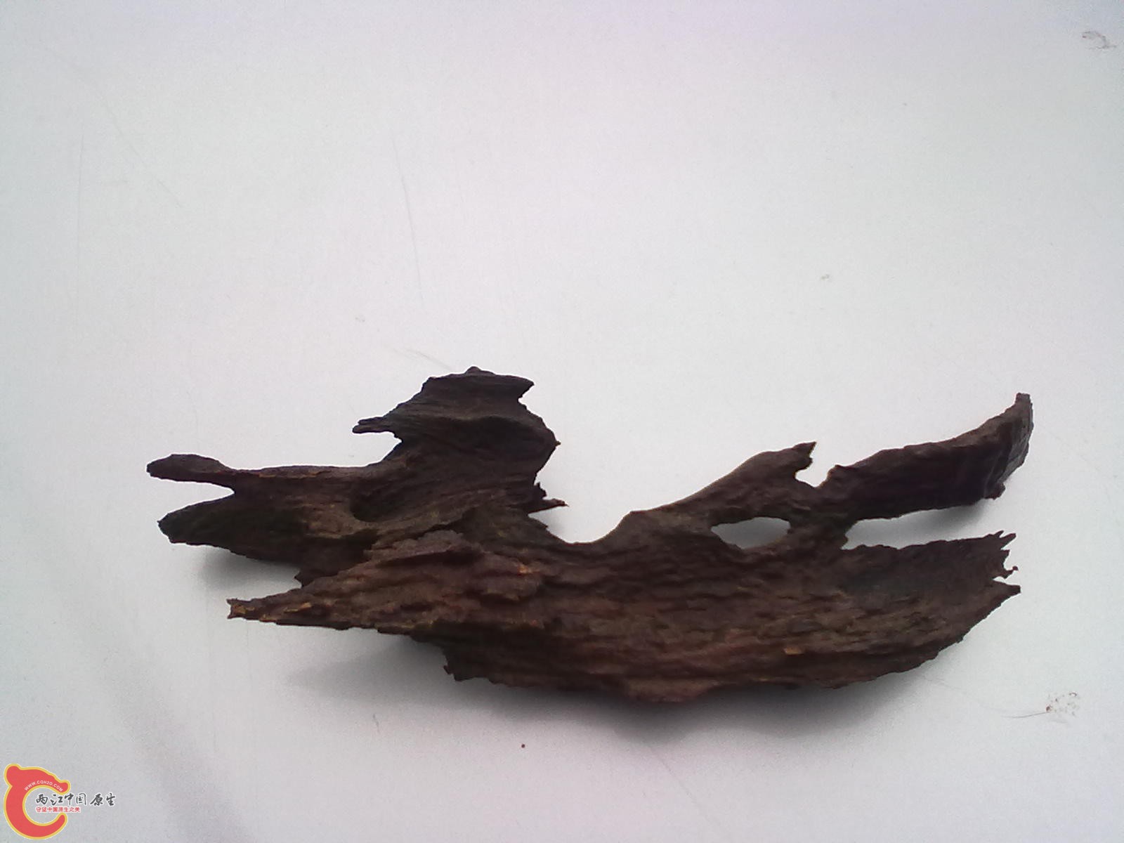20120316380.jpg