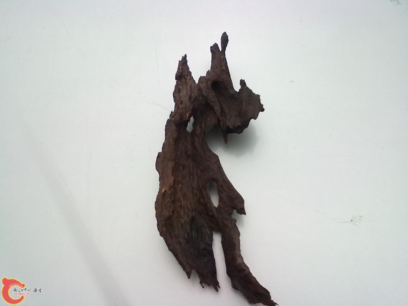 20120316381.jpg