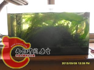 全貌2