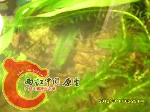 请讲