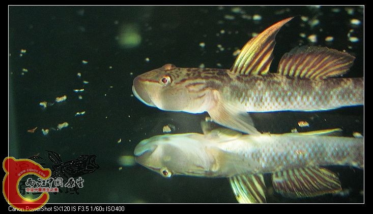 IMG_9792.JPG