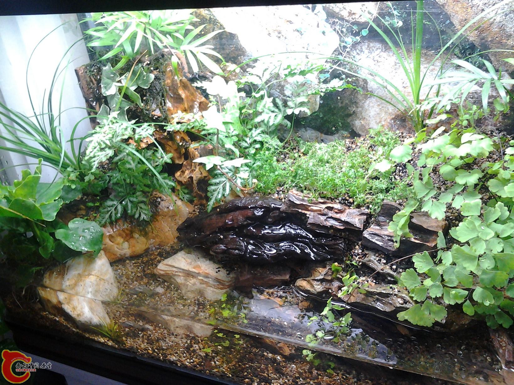 2012-03-17 18.56.35.jpg