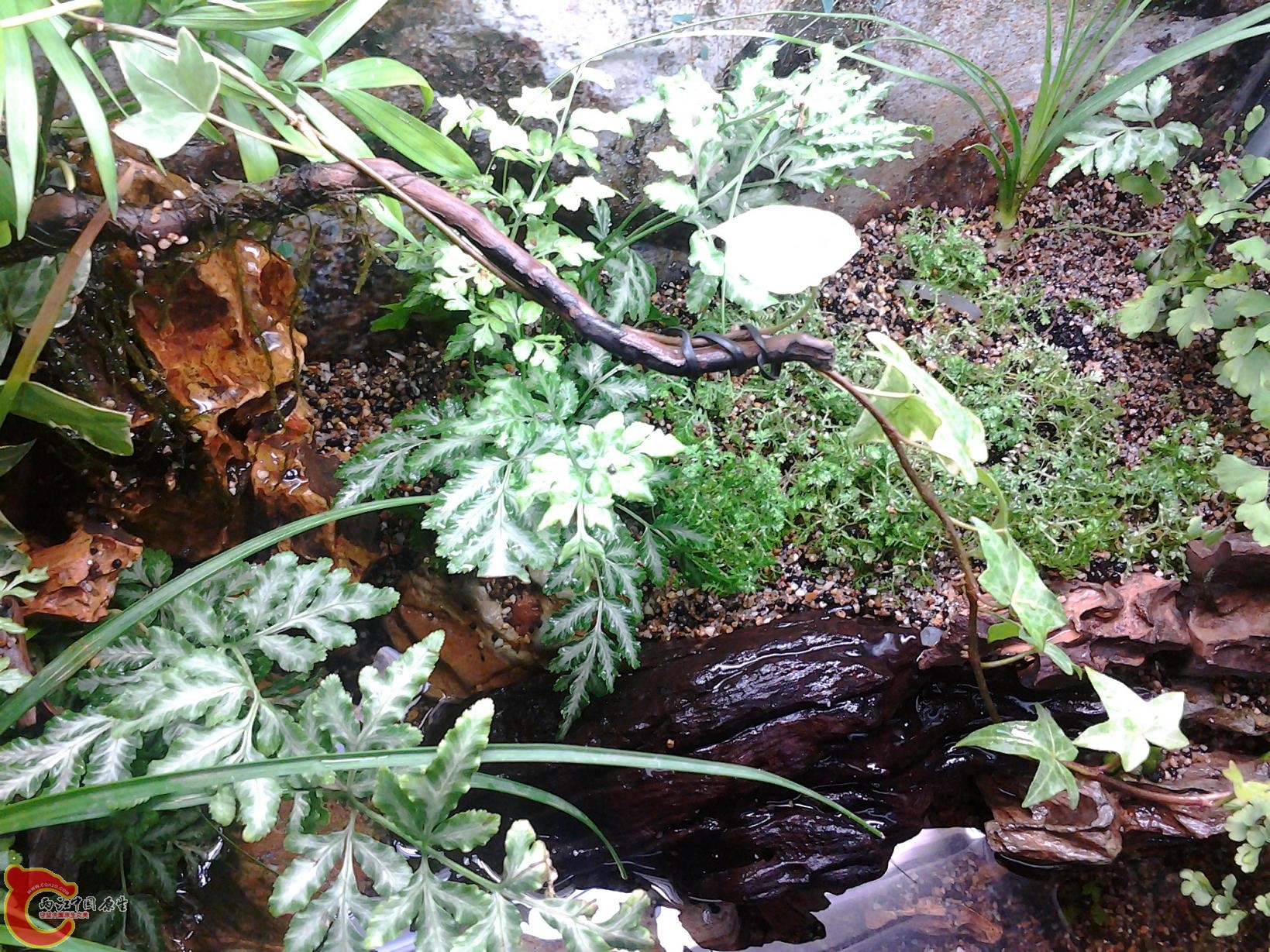 2012-03-17 18.58.02.jpg