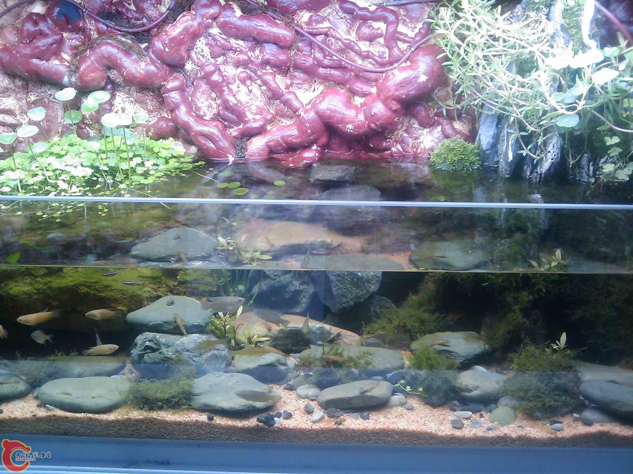 IMAGE_612.jpg