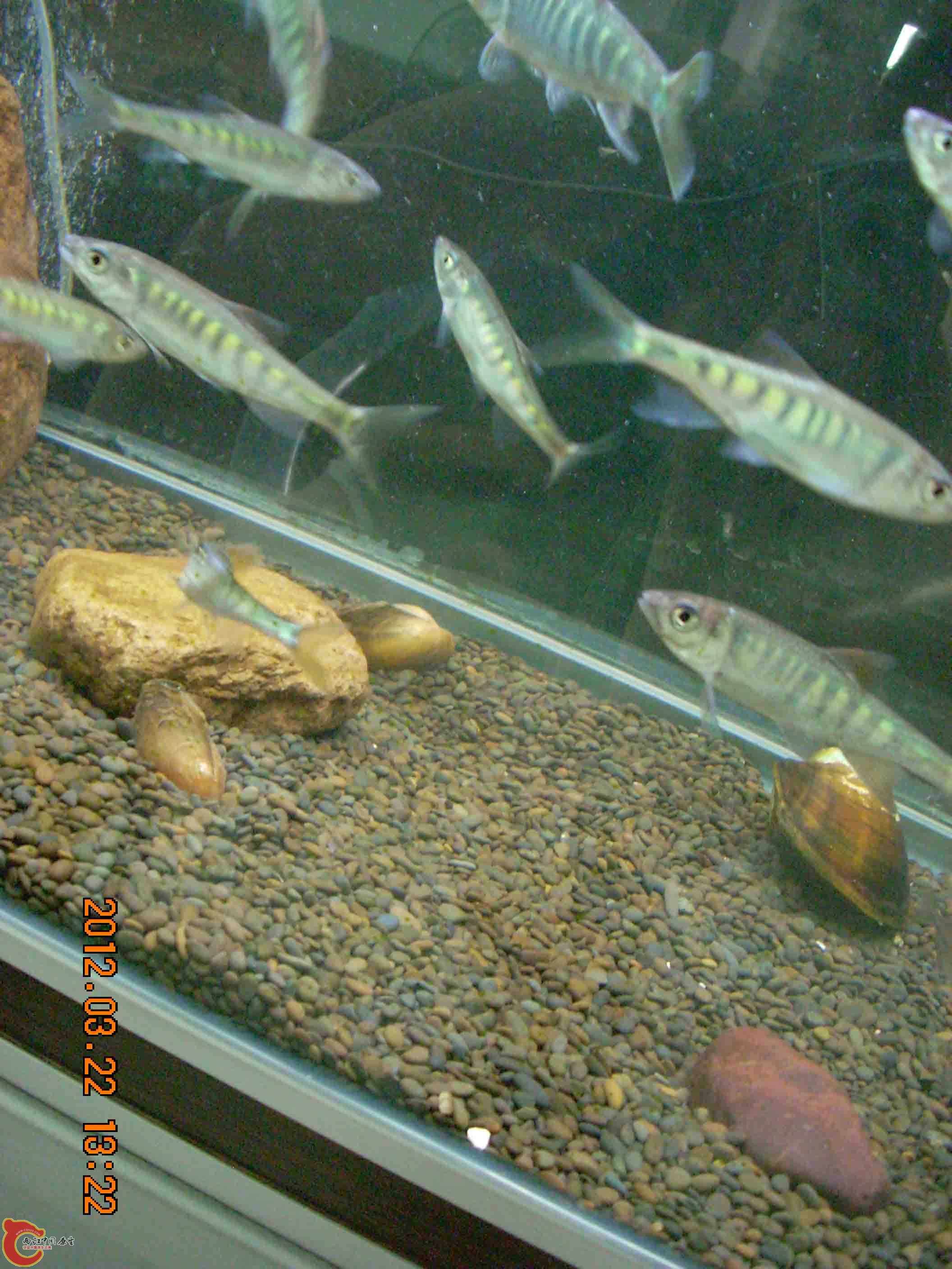 DSCN1345.JPG