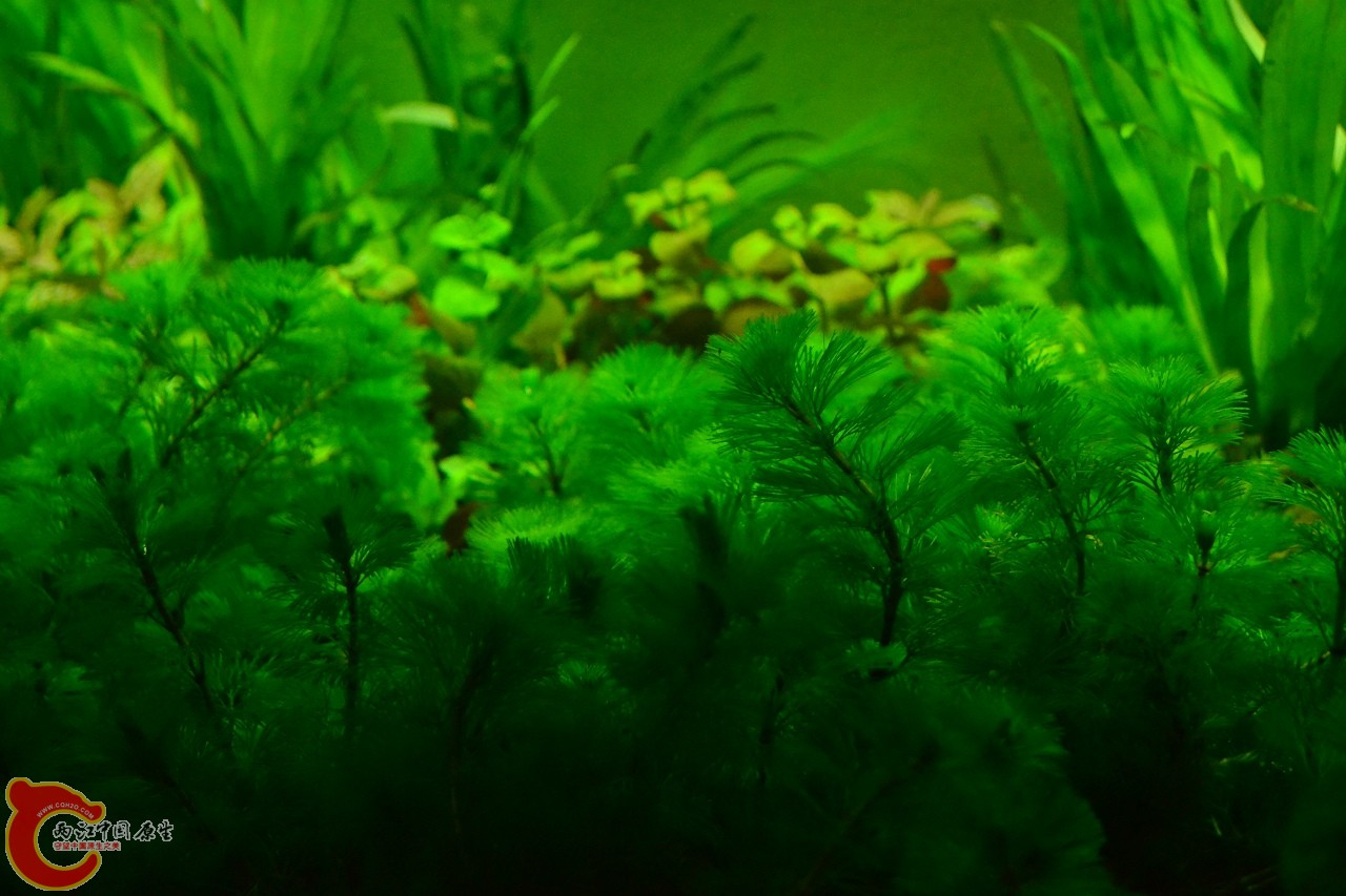 20120324_149.jpg