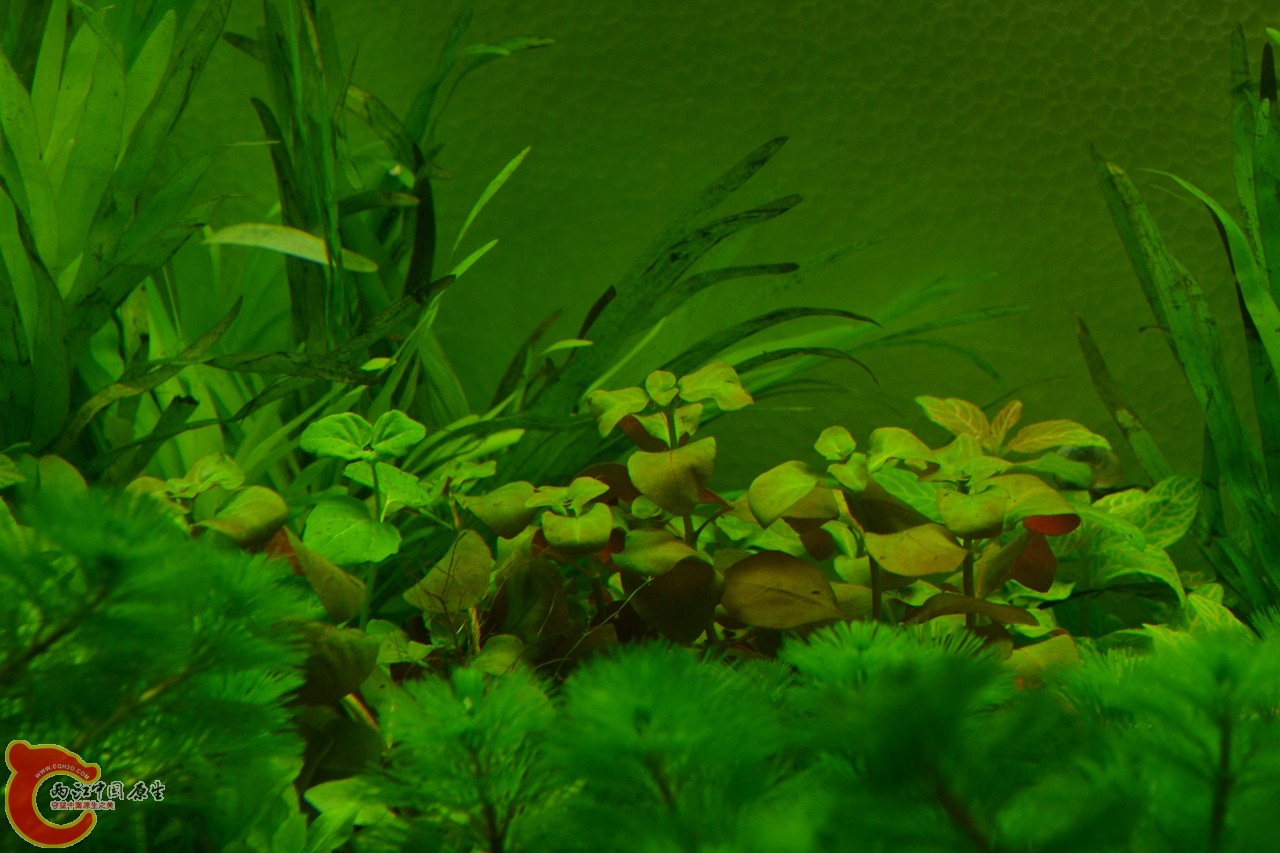 20120324_151.jpg