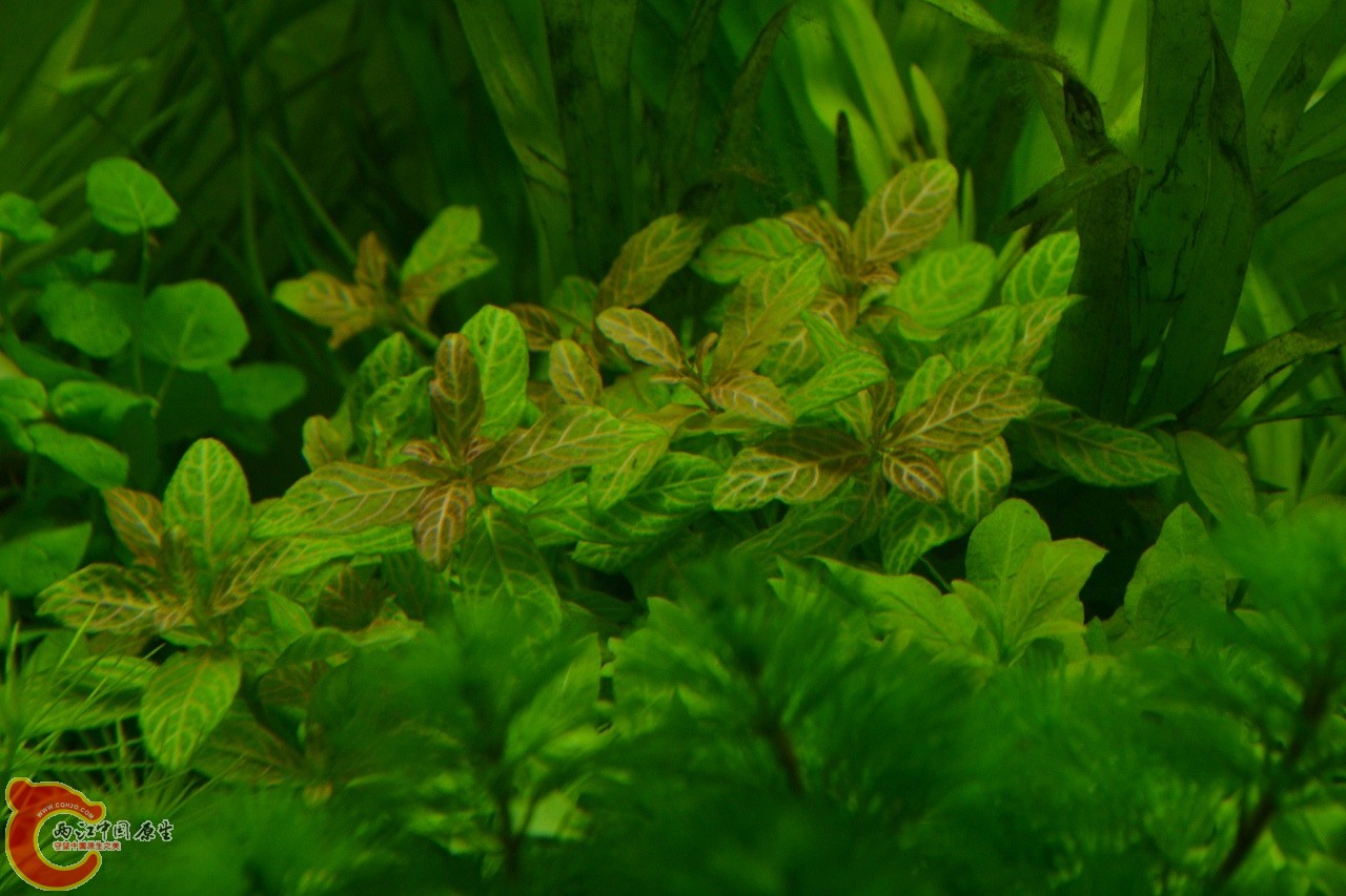 20120324_153.jpg
