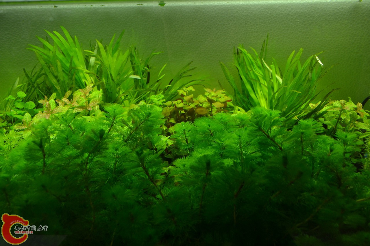 20120324_155.jpg