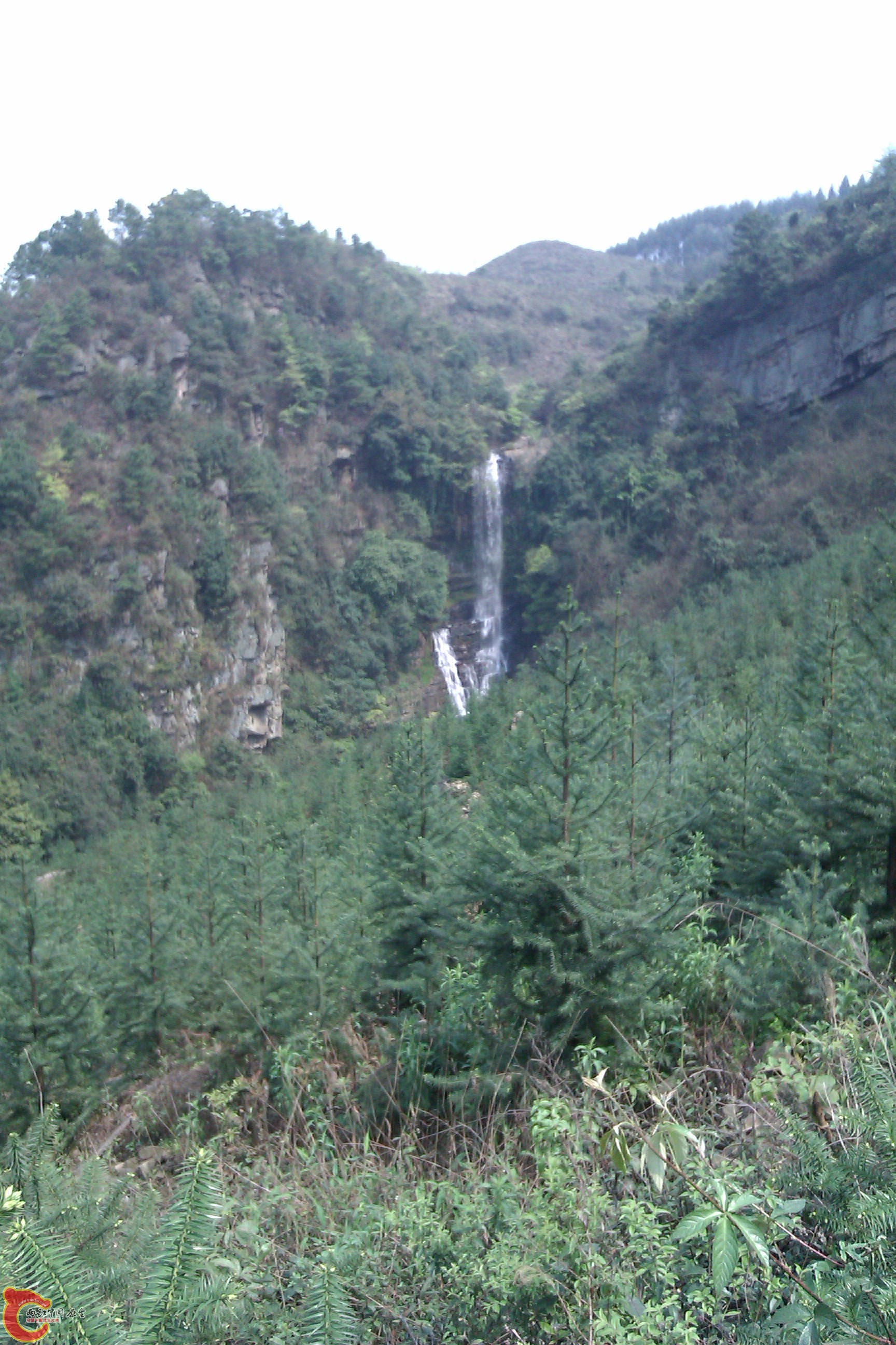 IMAG0262.jpg