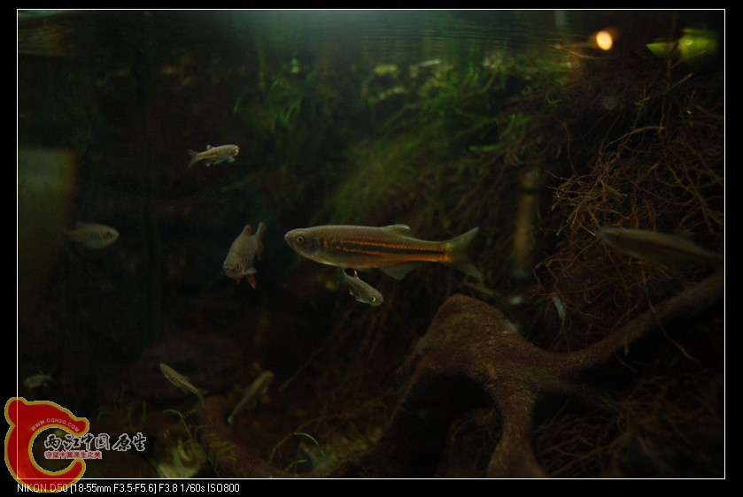 DSC_4120.jpg