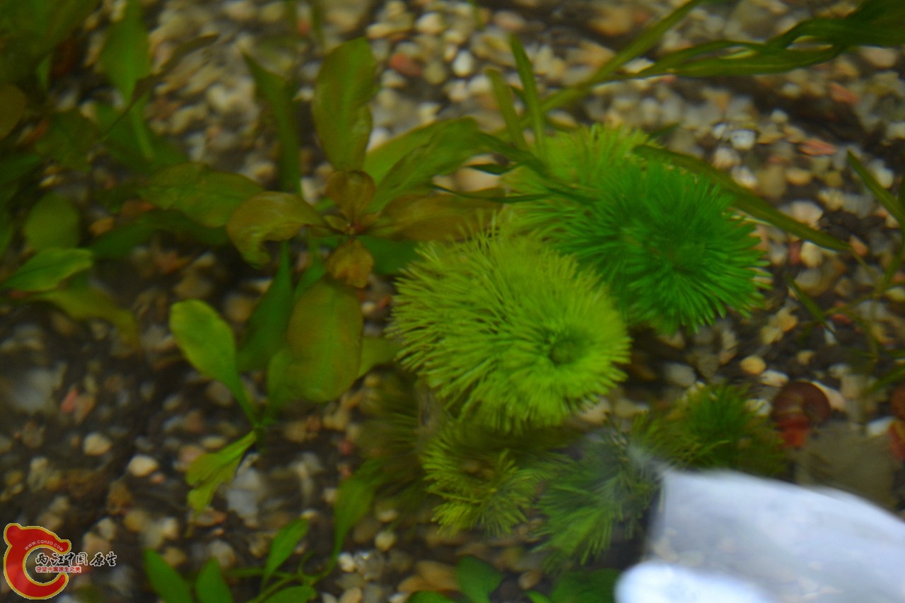 20120328_354.jpg