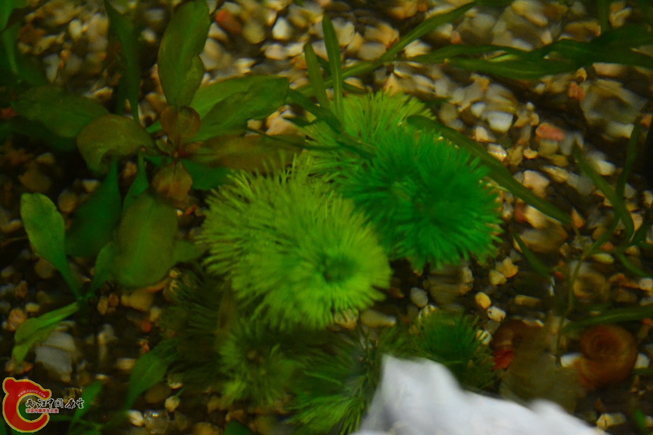 20120328_355.jpg