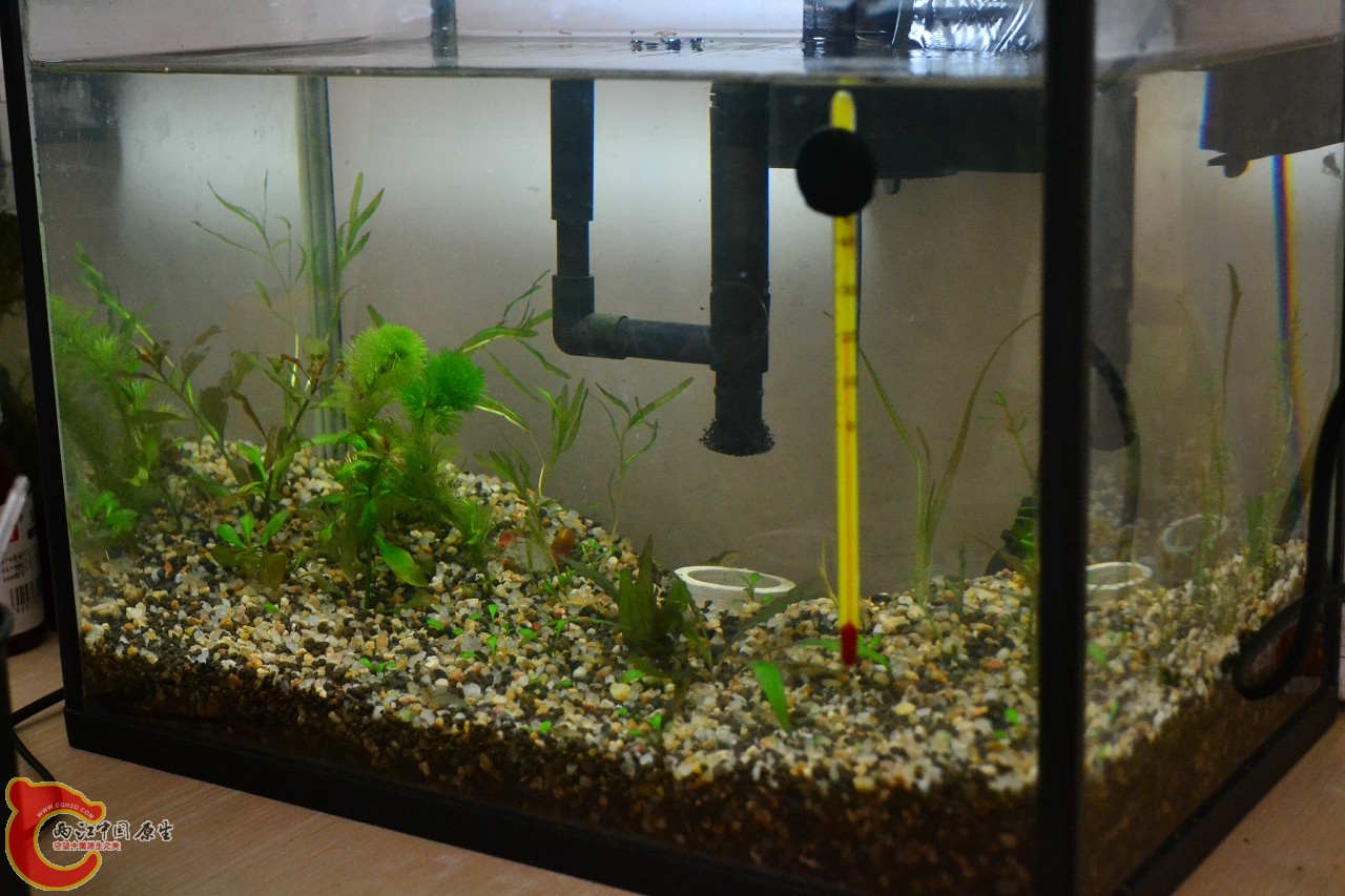 20120328_360.jpg