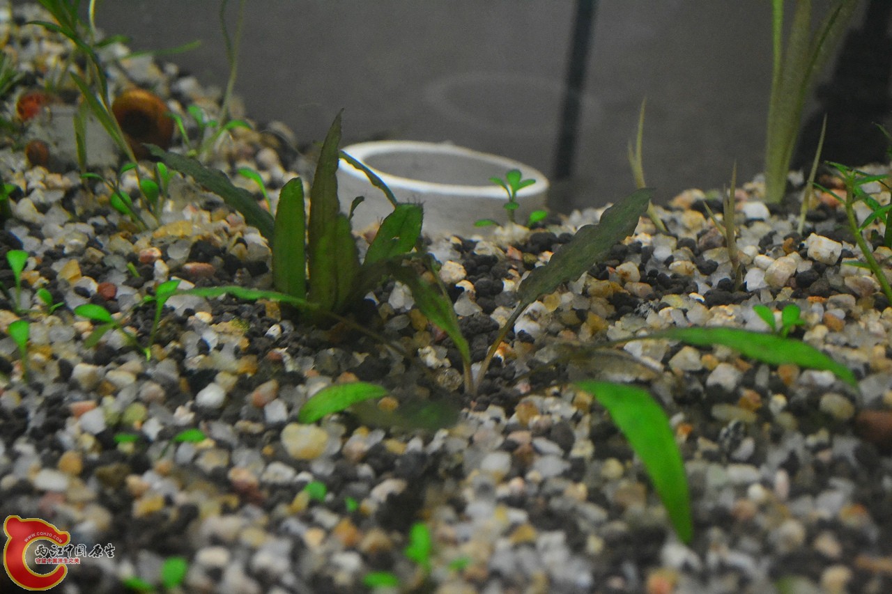 20120328_361.jpg