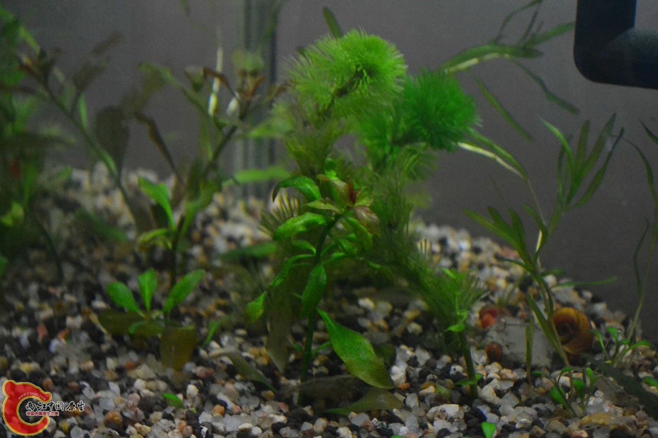 20120328_362.jpg