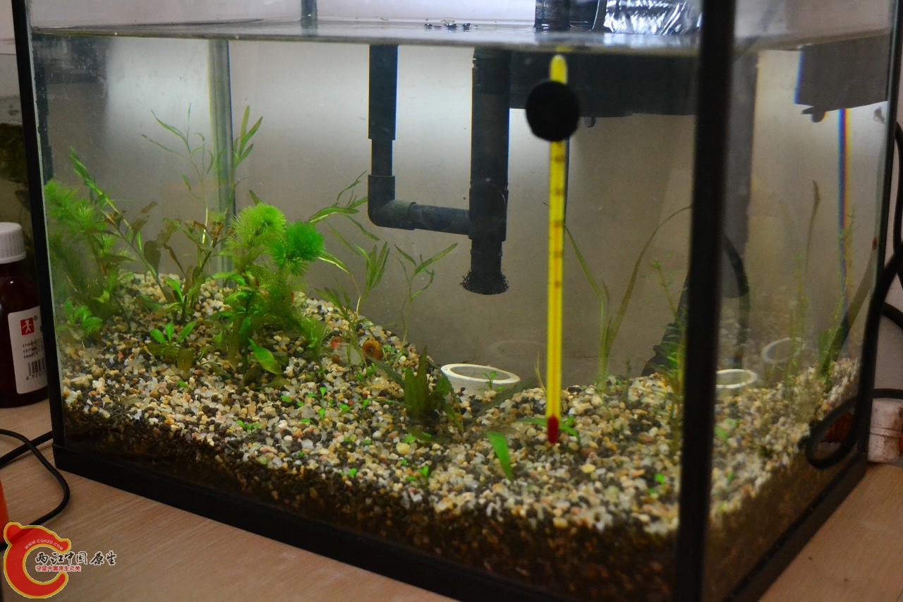 20120328_364.jpg