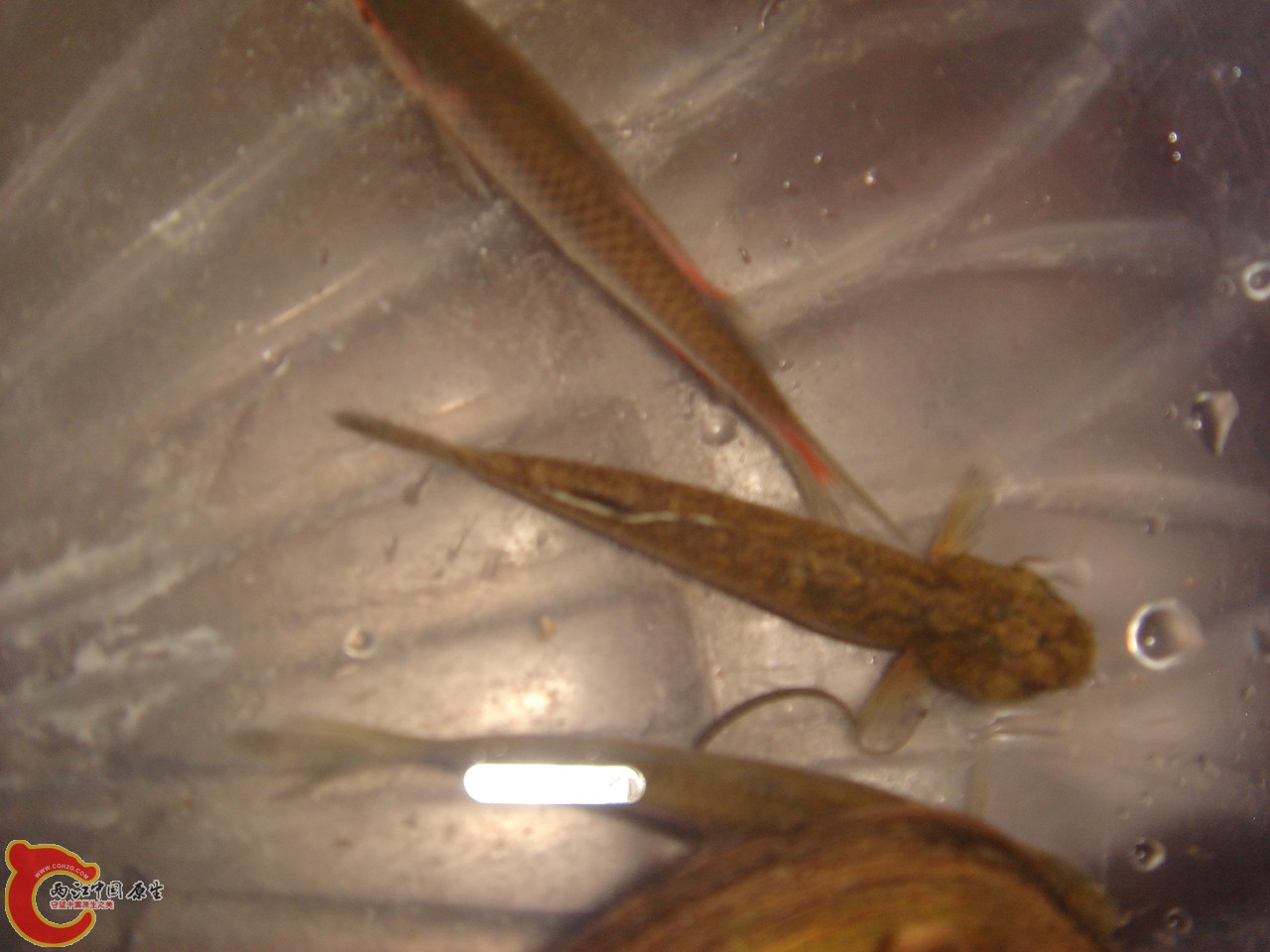 DSC05801.JPG