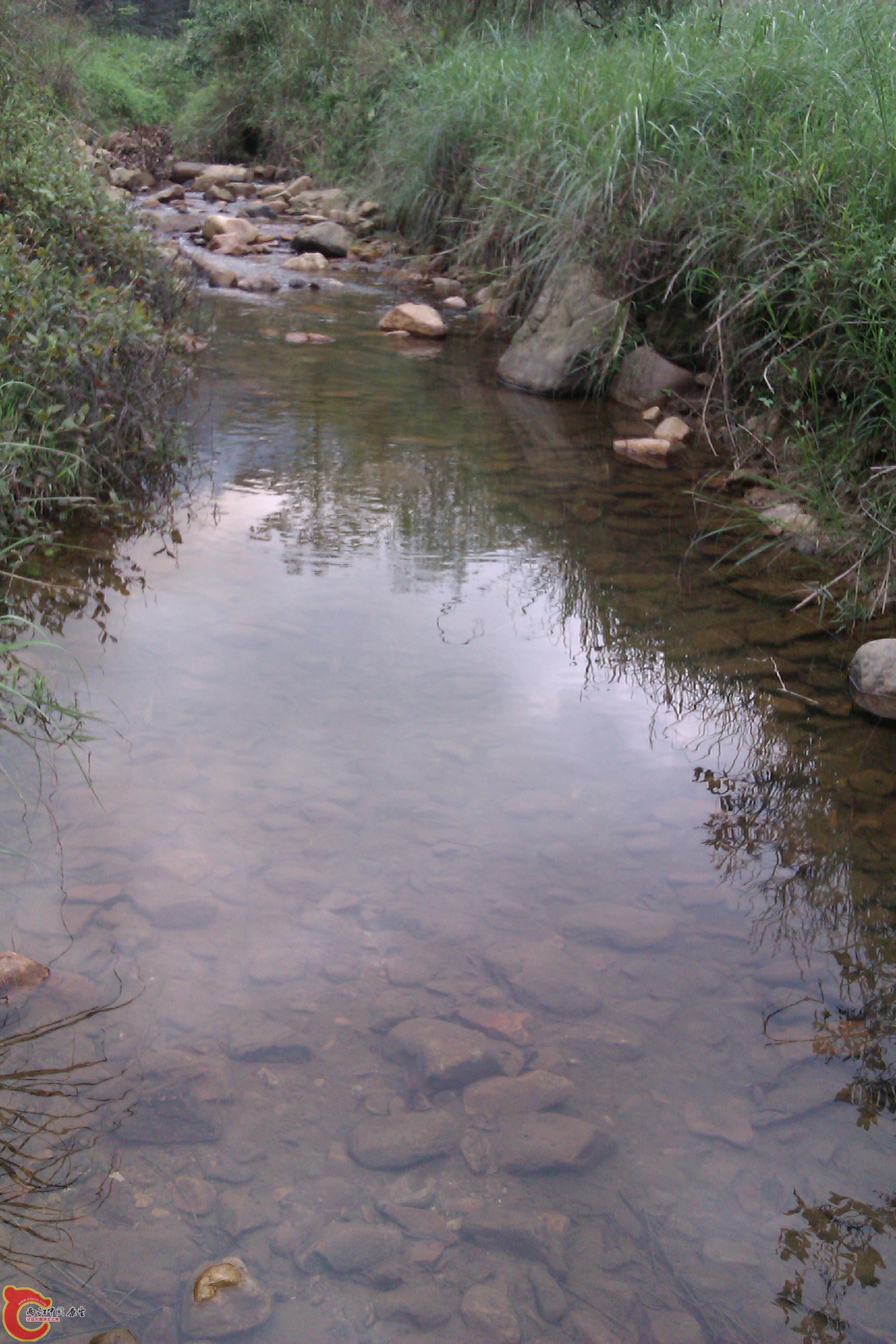 IMAG0298.jpg