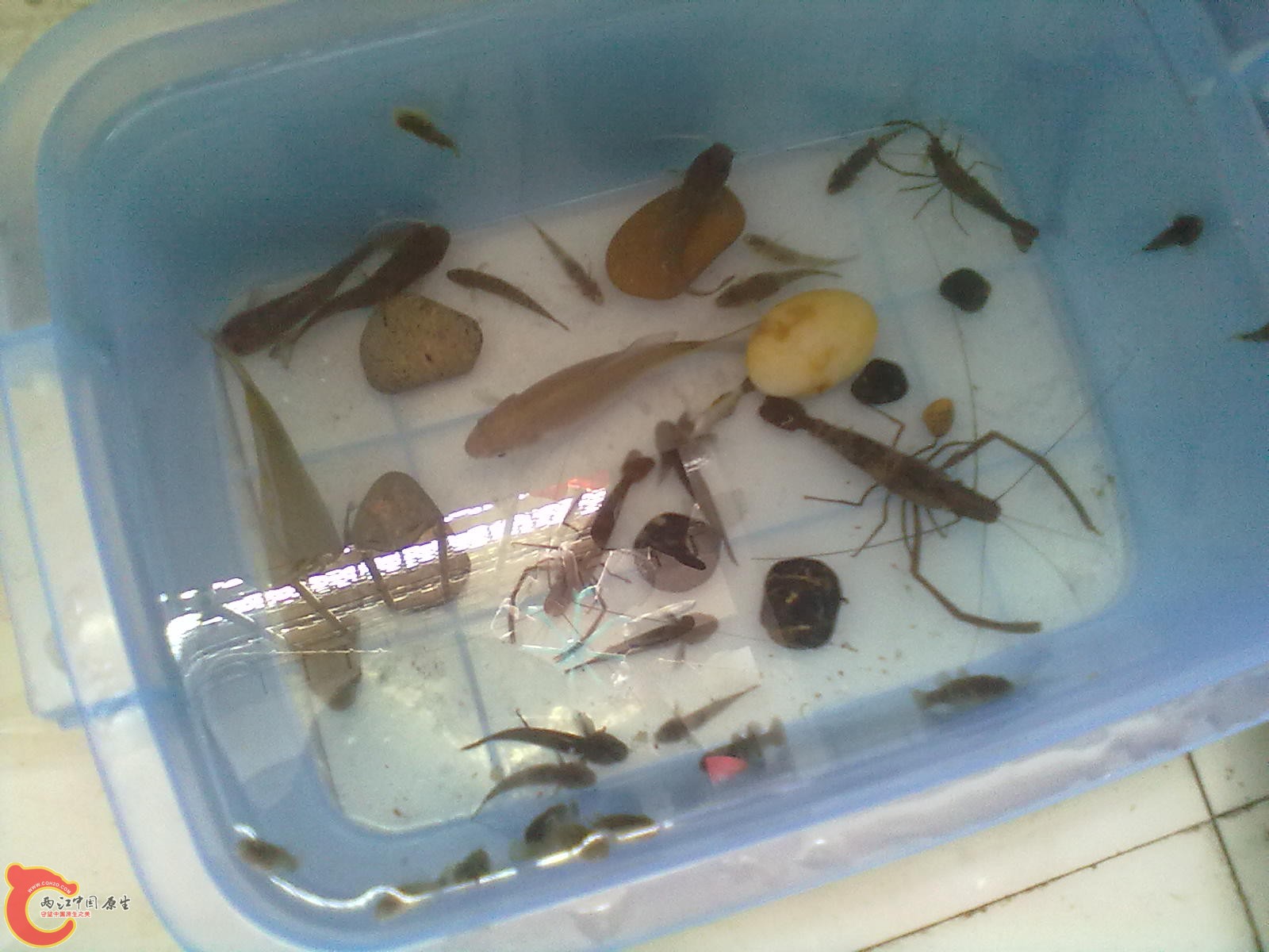 20120403153.jpg