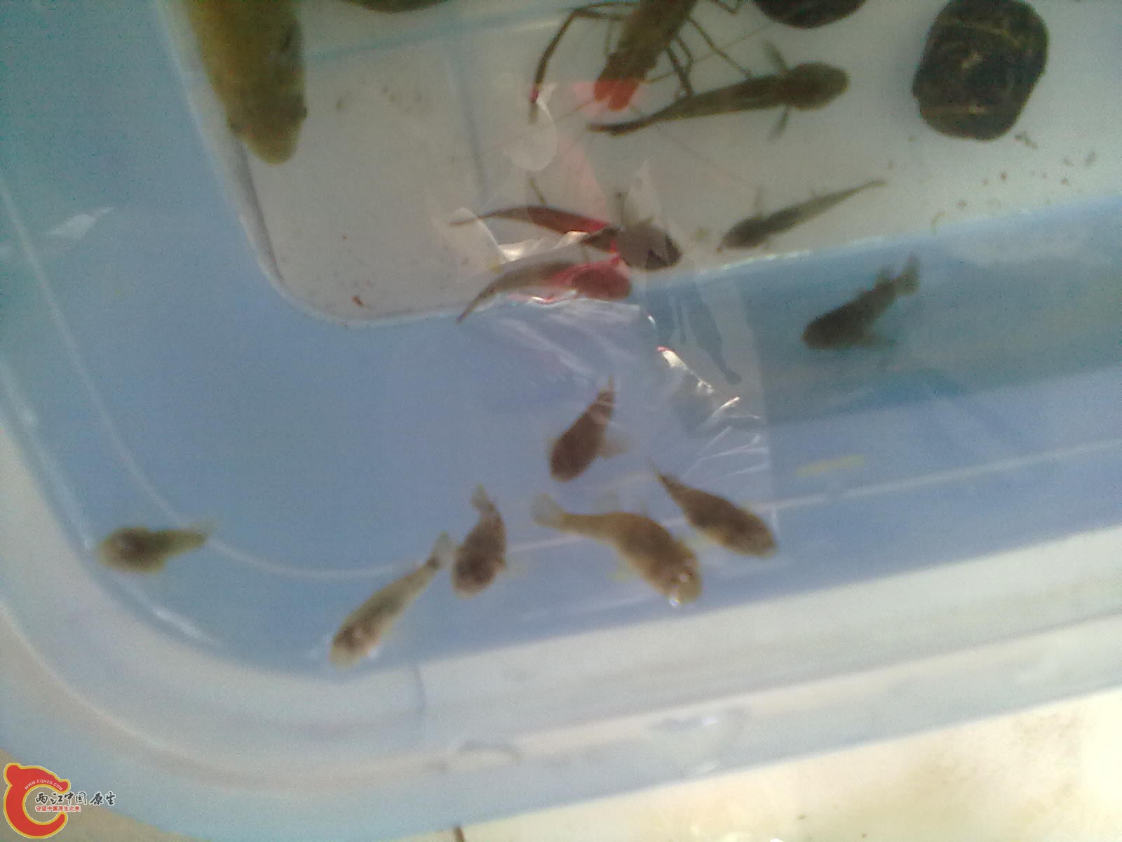 20120403154.jpg