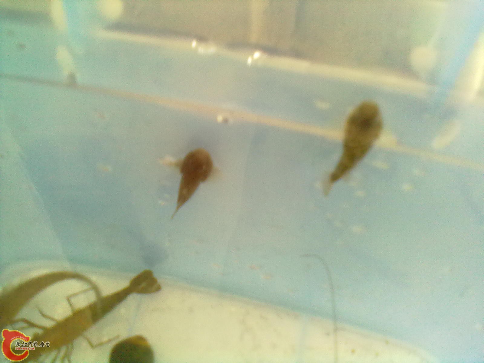 20120403155.jpg