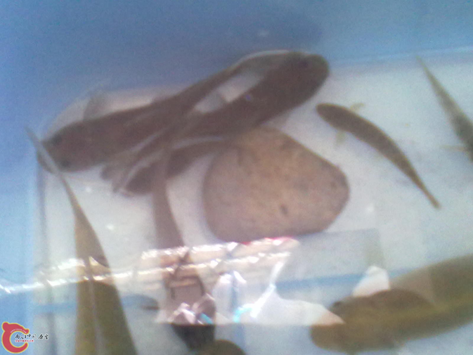 20120403156.jpg