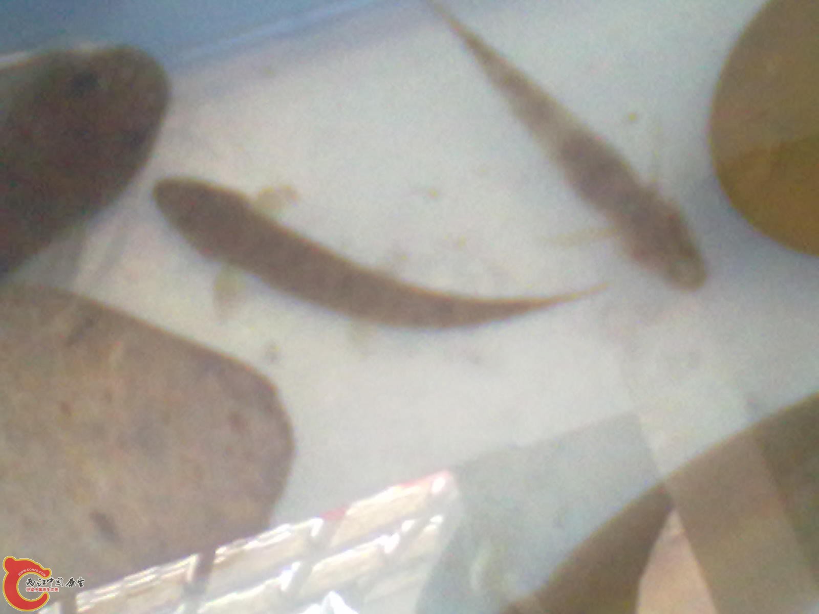 20120403157.jpg
