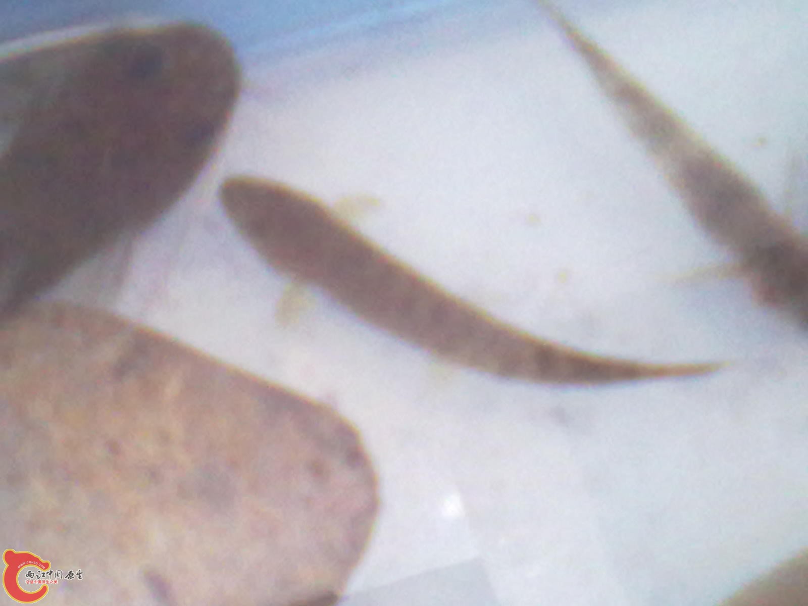 20120403158.jpg