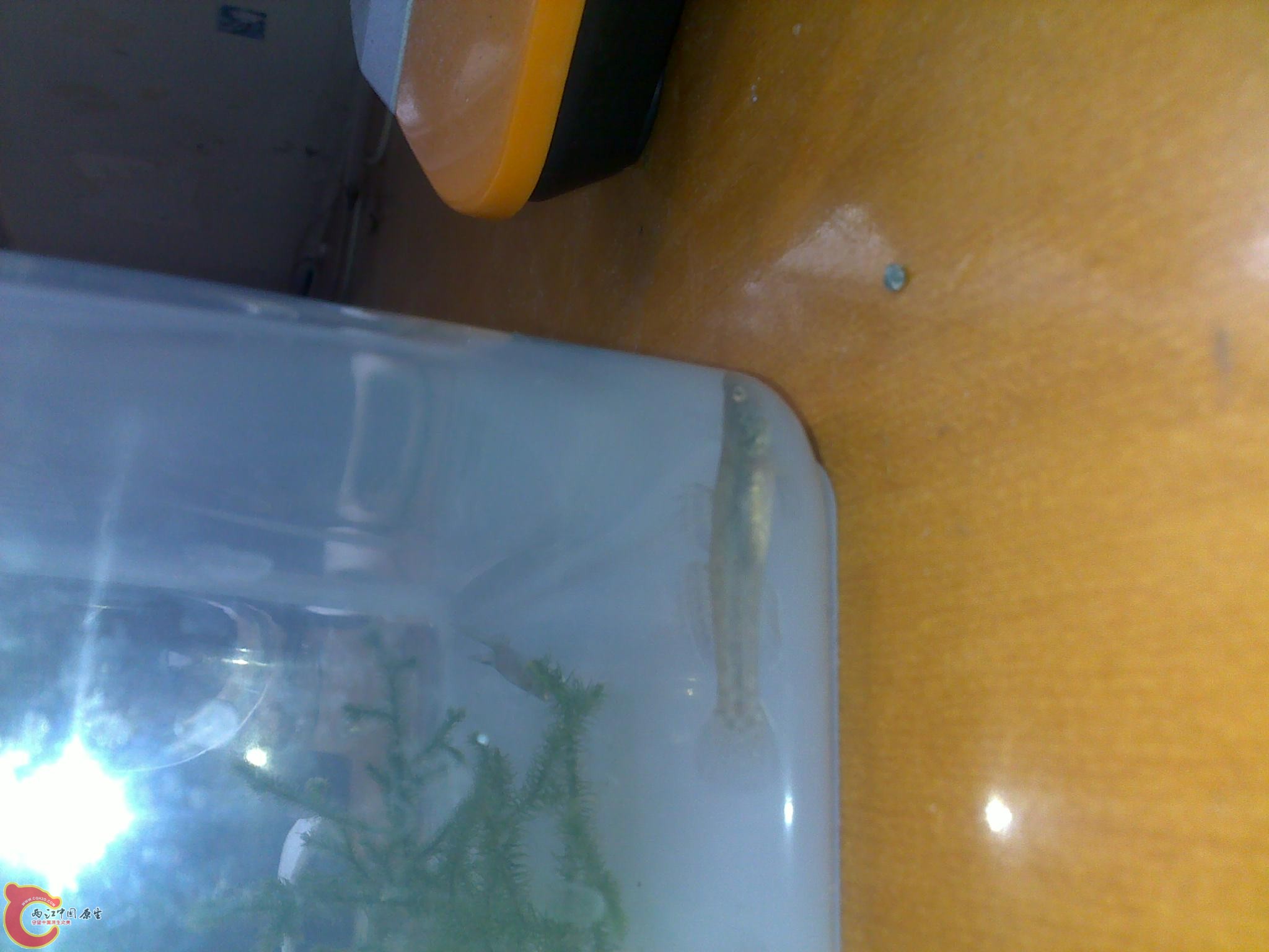 040420121892.jpg