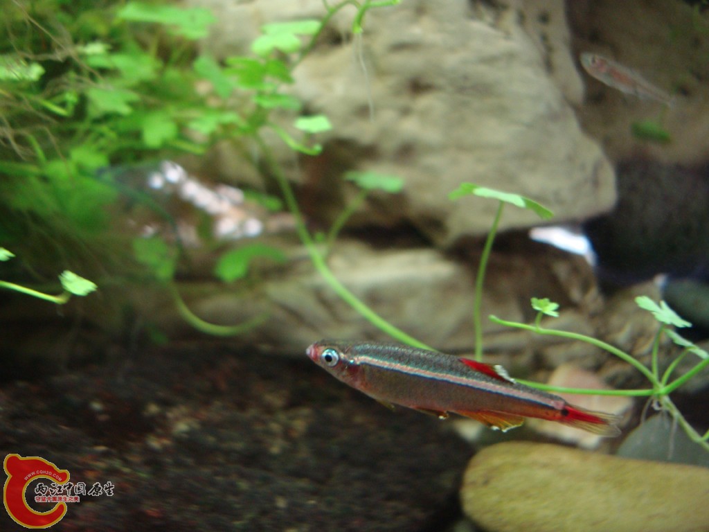 DSC07140.JPG