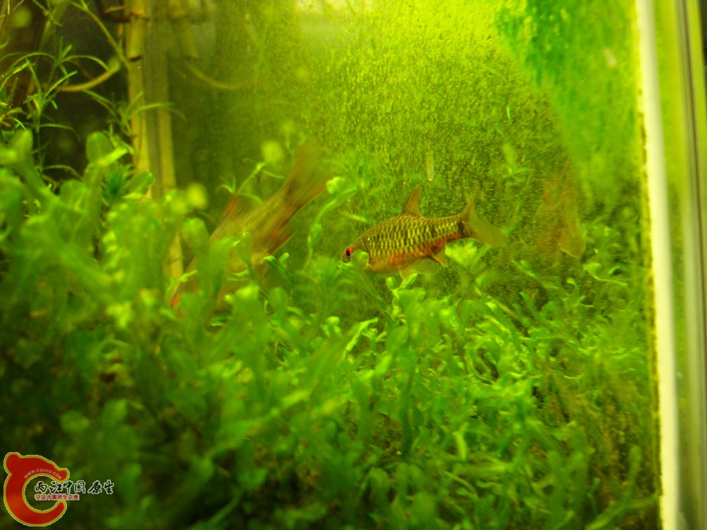 DSC07158.JPG