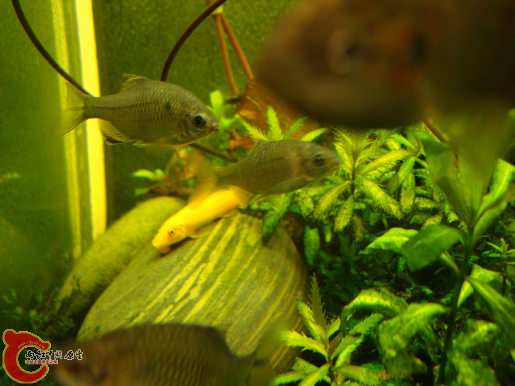 DSC07162.JPG