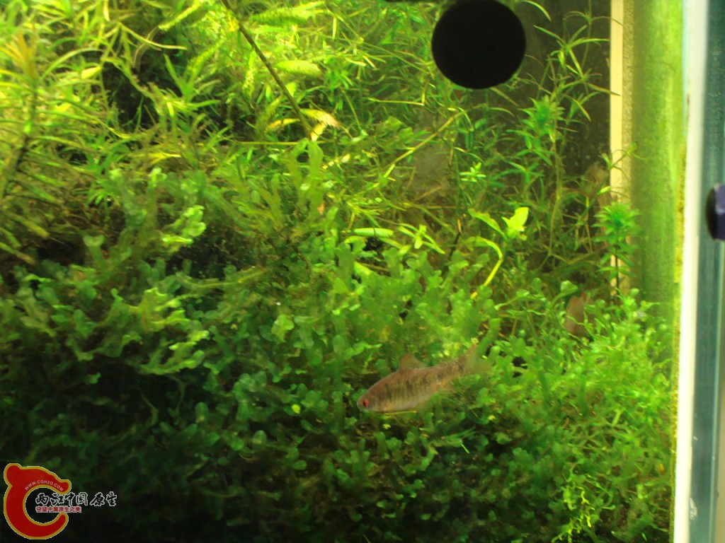 DSC07173.JPG