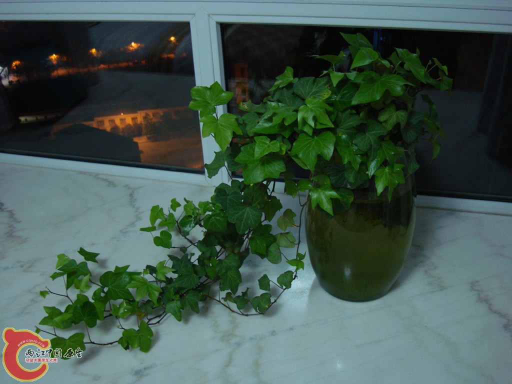 DSC07188.JPG