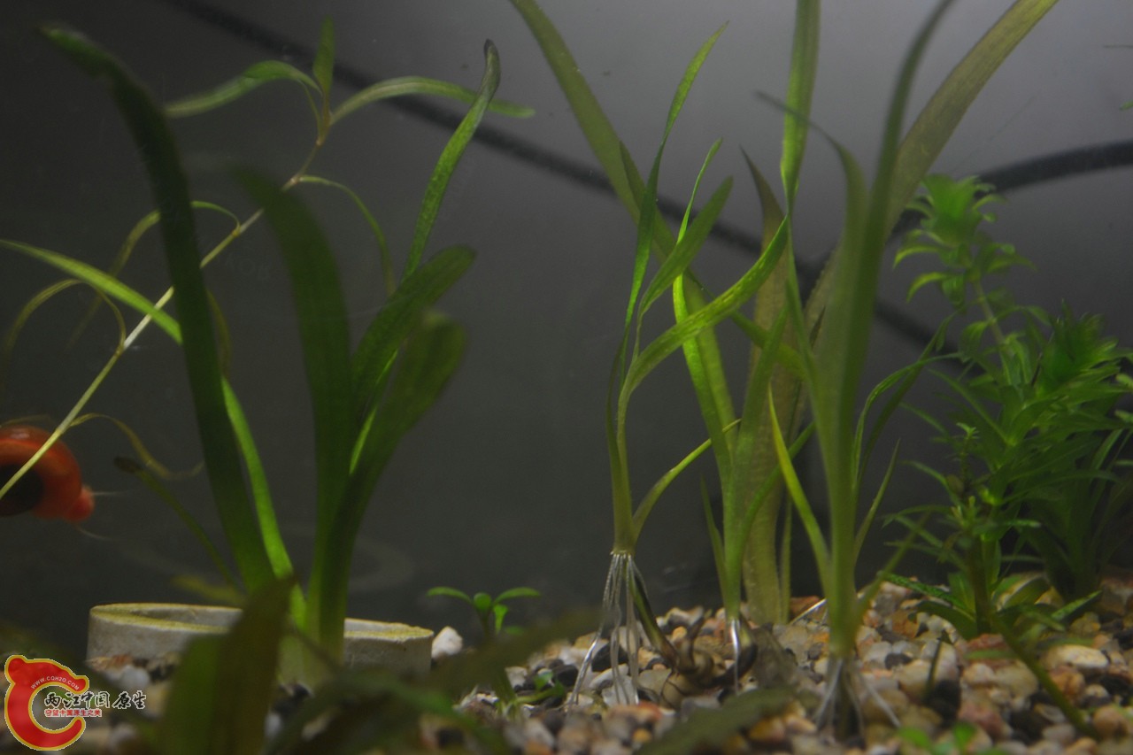 20120407-623.jpg