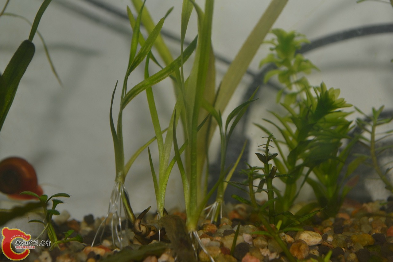 20120407-625.jpg