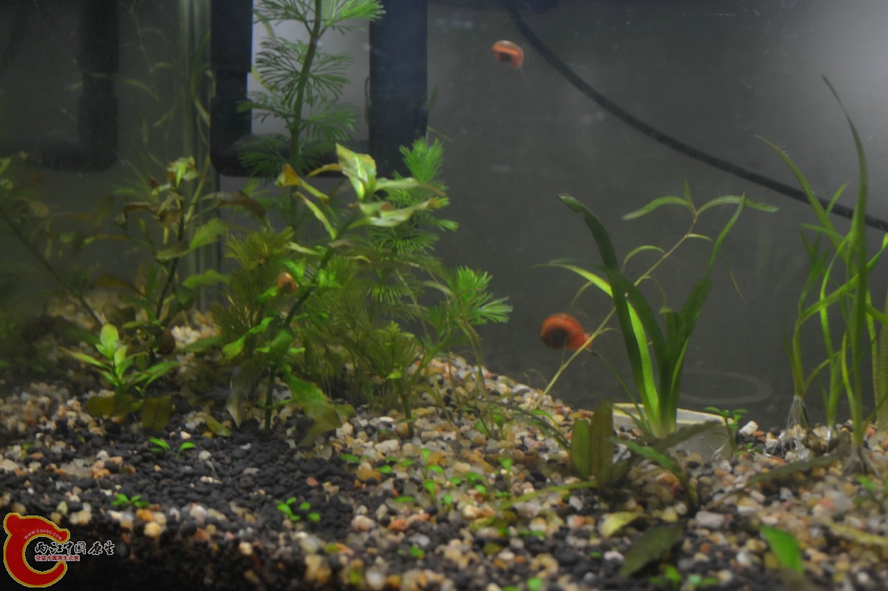 20120407-622.jpg