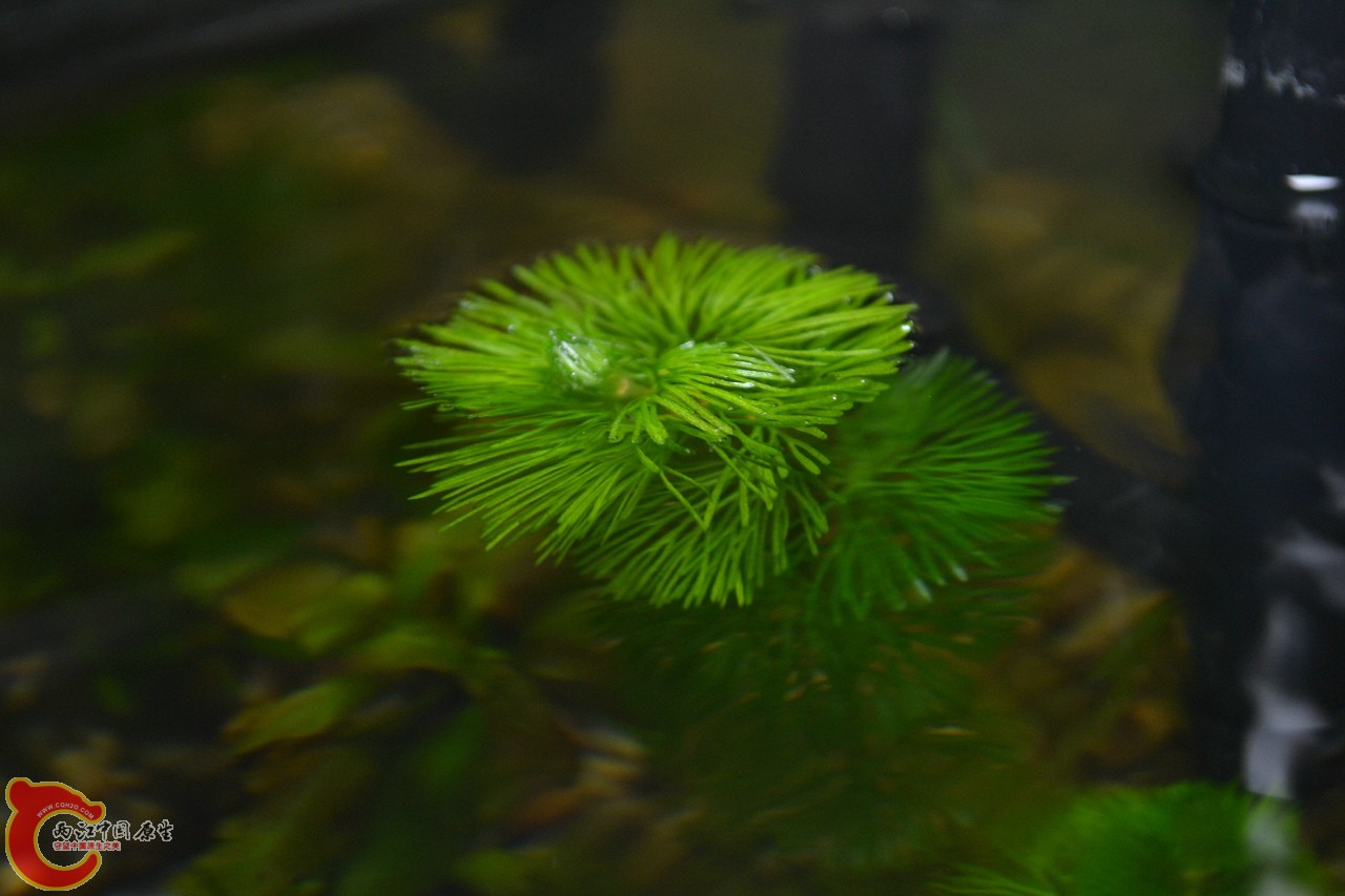 20120407-627.jpg