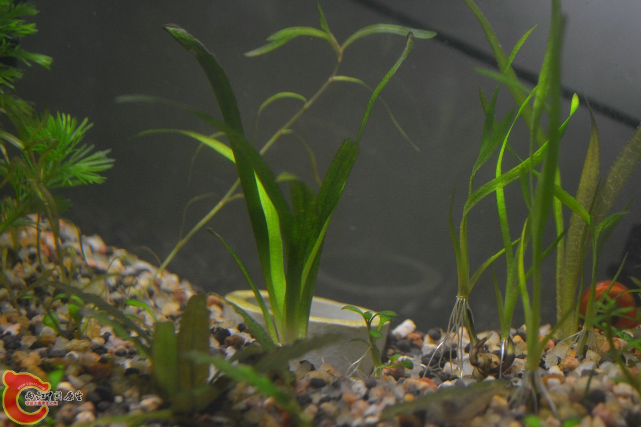 20120407-628.jpg